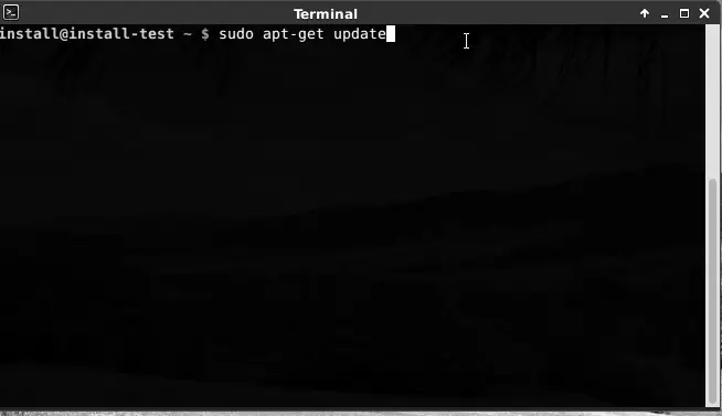 Terminal running the apt-get update command on a Debian-based distribution
