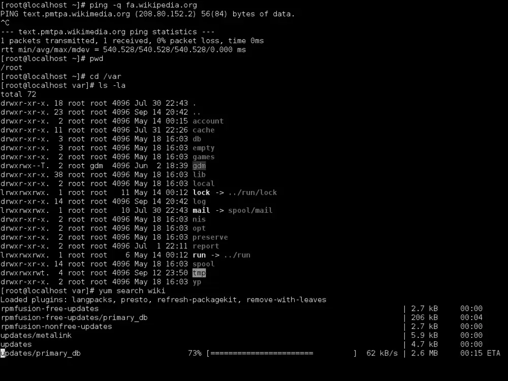 Screenshot of the Bash command line running in GNOME Terminal on Linux