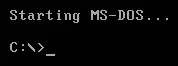'Starting MS-DOS...' message during system boot