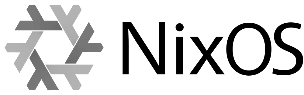 NixOS logo, the distribution based on the Nix package manager