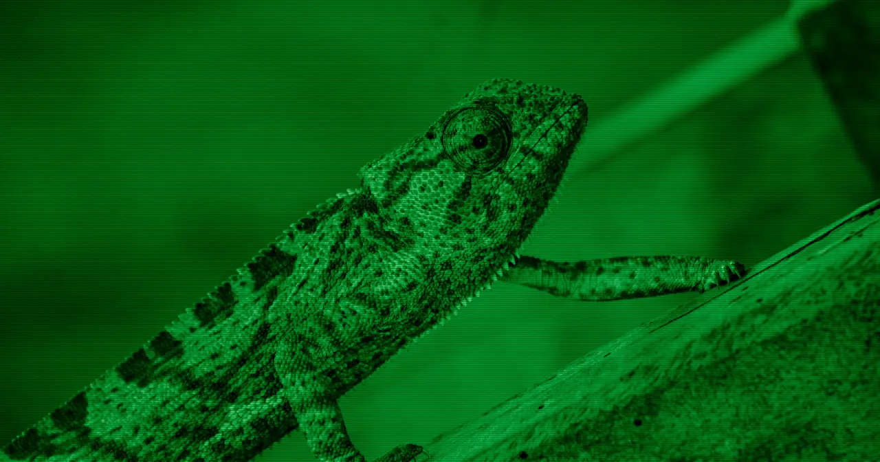 Close-up of a green chameleon, evoking the openSUSE chameleon mascot