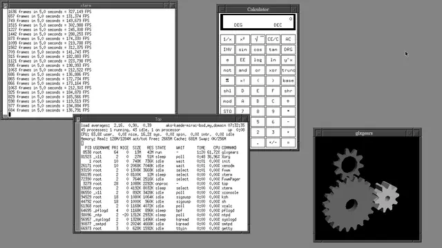 OpenBSD desktop running the FVWM window manager